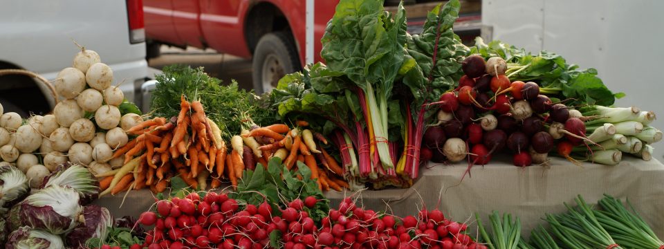 Mill City Farmers Market Opens Saturday May 6th